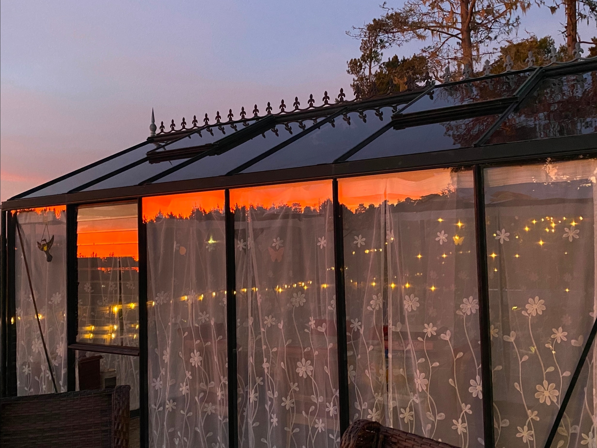 The greenhouse garden at dusk